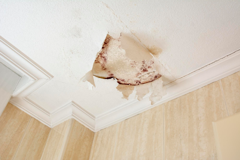 Filing an insurance claim for water damage