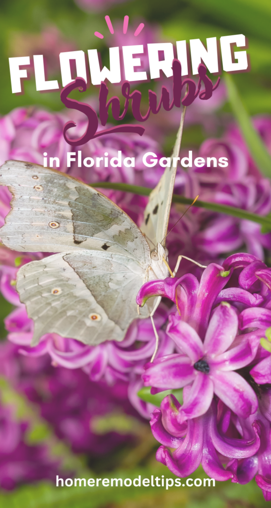 flowering shrubs Florida