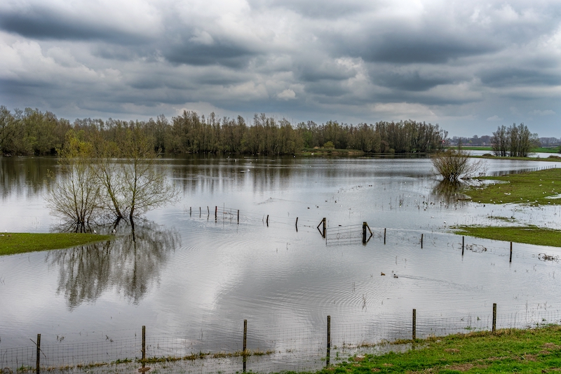 what to do after a Spring Flood
