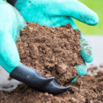 Topsoil 101